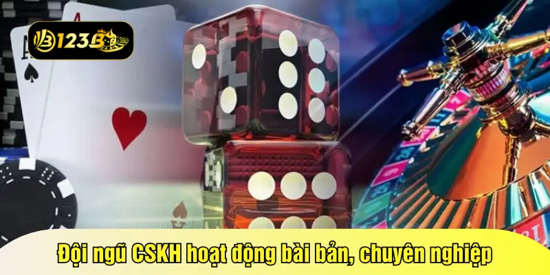 Đội ngũ CSKH hoạt động bài bản, chuyên nghiệp